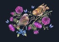 Watercolor pair of birds on a branch with thistle, berries, blue butterflies, wild flowers illustration, meadow herbs Royalty Free Stock Photo