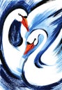 Watercolor pair of white beautiful swans on brush stroke blue background. Hand drawn illustration of graceful wild birds