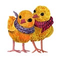 Watercolor pair of yellow chickens in scarfs in cartoon style isolated