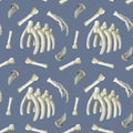 Watercolor paleontologic seamless pattern with dinosaurs bones, tyrannosaurus ribs and theeth on blue background