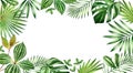 Watercolor palm leaves banner. Horizontal frame with exotic plants and place for text. Hand painted floral background
