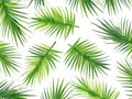 Watercolor palm tree leaf seamless pattern in hand-drawn style Royalty Free Stock Photo