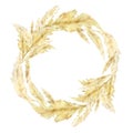 Watercolor pampas graas wreath for design boho and modern style . Golden frame south America, feathery flower head plumes for wedd