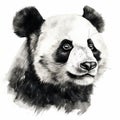 Watercolor Panda Bear Heads: Monochromatic Portraits In Detailed Illustrations