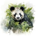 Watercolor Panda - Beautiful Artwork of a Panda in Watercolor Style AI Generated