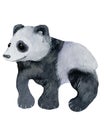 Watercolor panda on a white Royalty Free Stock Photo