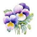 Watercolor Pansies: Realistic And Elegant Clipart Design
