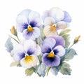 Symmetrical Watercolor Pansies: White Paloma Flowers On Isolated White Background