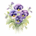 Watercolor Pansies On White Background: Free Vector Images Royalty Free Stock Photo