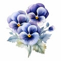 Watercolor Pansy Arrangement Clipart In Mountbatten Blue Hues Royalty Free Stock Photo