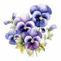 Watercolor Pansy Bouquet: Accurate, Detailed Clipart With Periwinkle Blue Hues Royalty Free Stock Photo