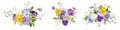 Watercolor pansy flowers bouquet collection. Vector viola spring floral set illustration. Summer bloom Royalty Free Stock Photo