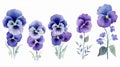 Watercolor Pansy Flowers Bouquet Collection with Viola Spring Floral Set and Butterfly Illustration on White Background AI Royalty Free Stock Photo