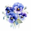 Watercolor Pansy Flowers: Symmetrical Arrangements In Light Purple And Dark Azure Royalty Free Stock Photo