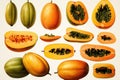 Watercolor papaya fruit isolated on white. AI Generated