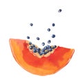 Watercolor papaya slice Royalty Free Stock Photo