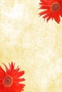 Watercolor Paper with red Gerbera Daisies Royalty Free Stock Photo