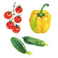 Watercolor paprika pepper, cucumbers, cherry tomatoes