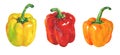 Watercolor paprika peppers set