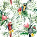Watercolor parrot and toucan seamless pattern. Hand painted illustration with bird, protea and palm leaves isolated on Royalty Free Stock Photo