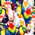 Watercolor parrots seamless pattern Royalty Free Stock Photo