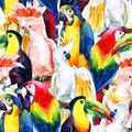 Watercolor parrots seamless pattern Royalty Free Stock Photo