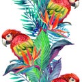 Watercolor parrots with tropical flowers seamless pattern Royalty Free Stock Photo