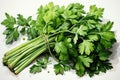 Watercolor parsley on white. AI Generated