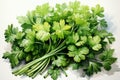 Watercolor parsley on white. AI Generated