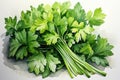 Watercolor parsley on white. AI Generated