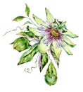 Watercolor Passiflora greeting card, flowers, leaves. Vintage floral