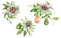 Watercolor Passiflora greeting card, flowers, leaves. Vintage floral