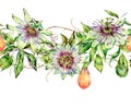 Watercolor Passiflora seamless pattern, flowers, leaves. Vintage floral natural texture