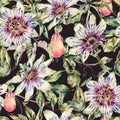 Watercolor Passiflora seamless pattern, flowers, leaves. Vintage floral natural texture