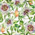 Watercolor Passiflora seamless pattern, flowers, leaves. Vintage floral natural texture