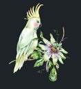 Watercolor Passiflora and white parrot greeting card