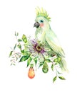 Watercolor Passiflora and white parrot greeting card