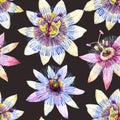 Watercolor passion flower pattern Royalty Free Stock Photo