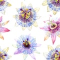 Watercolor passion flower pattern Royalty Free Stock Photo