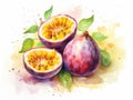 Watercolor Passion Fruit Isolated, Aquarelle Ripe Passiflora, Creative Watercolor Maracuya on White