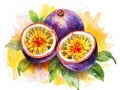 Watercolor Passion Fruit Isolated, Aquarelle Ripe Passiflora, Creative Watercolor Maracuya on White