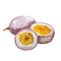 Watercolor passion fruit isolated on a white background Royalty Free Stock Photo