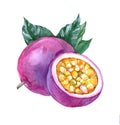 Watercolor passion fruit on white Royalty Free Stock Photo