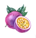 Watercolor passion fruit on white