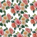 Watercolor pastel peach and pink roses pattern Royalty Free Stock Photo