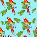 Seamless watercolor pattern on blue background. Red green macaw, ara parrot, isolated, aquarelle illustration
