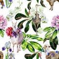 Watercolor pattern of alpaca, llama and ostrich with orchids, rhododendron Royalty Free Stock Photo