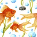 Watercolor pattern with aquarium. Goldfish, stone, algae and air bubbles. Artistic hand drawn illustration. For design Royalty Free Stock Photo