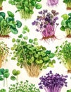 Watercolor Pattern of Assorted Microgreens and Sprouts Royalty Free Stock Photo