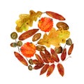 Watercolor pattern of autumn leaves and acorns. Bright fall round print with natural elements